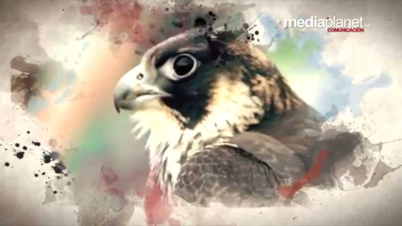 DESTINO ASTURIAS programa 01 (05-07-2015)