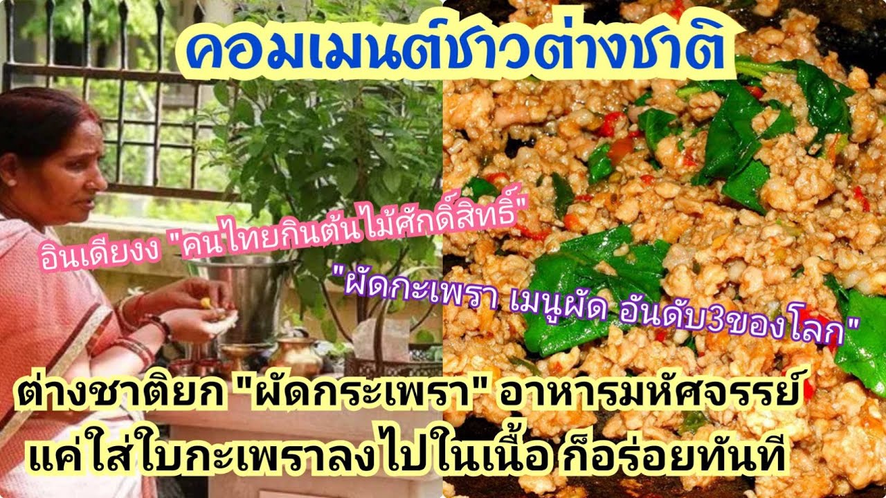 ต่างชาติยกผัดกะเพรา อาหารมหัศจรรย์  คนอินเดียงง คนไทยเอาต้นไม้ศักดิ์สิทธิ์มากินซะงั้น