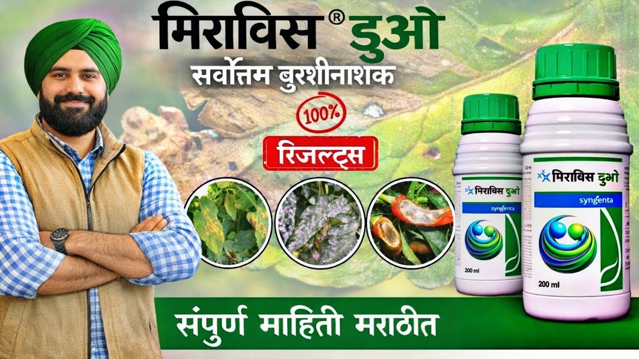 Miravis Duo Fungicide संपूर्ण माहिती | सर्वोतम बुरशीनाशक in Marathi | Ratan Samrajya