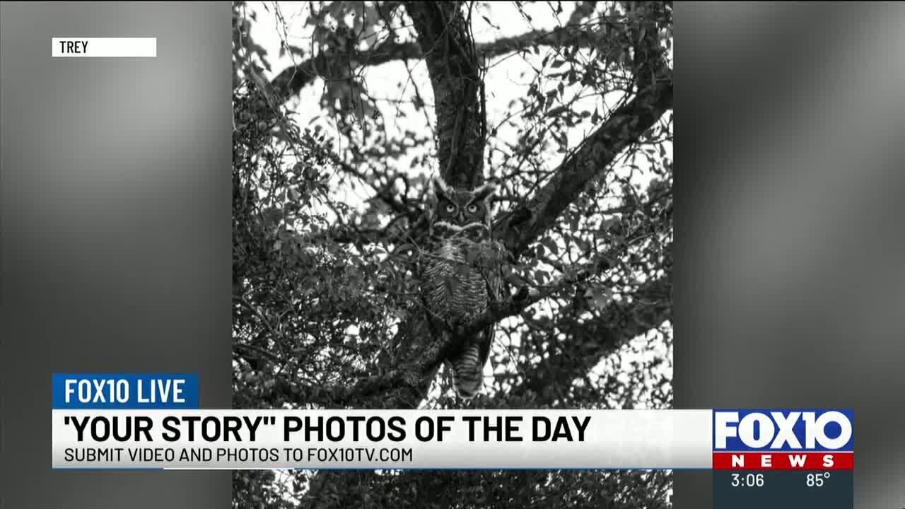 Nicholas and Shelby share &lsquo;Your Story&rsquo; photos