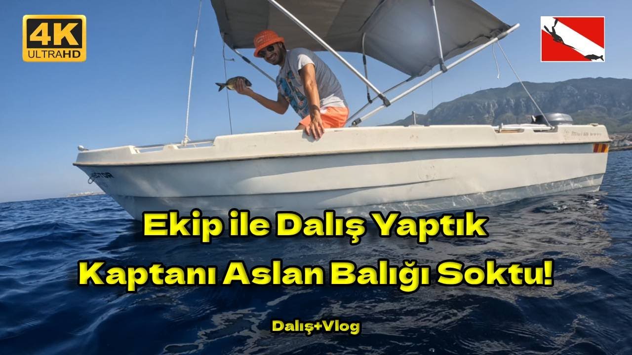🔱Ekip ile Dalış Yaptık | 🐟Kaptanı Aslan Balığı Soktu! | 🎯Kıbrıs Zıpkınla Balık Avı