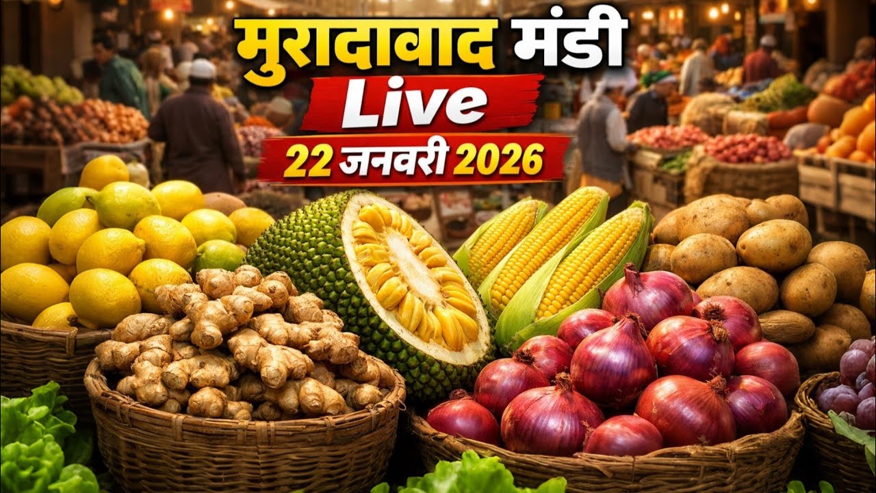 Aaj Ka Moradabad Mandi Bhav 🔥 | 22 January 2026 | Sabziyon Ke Latest Rate