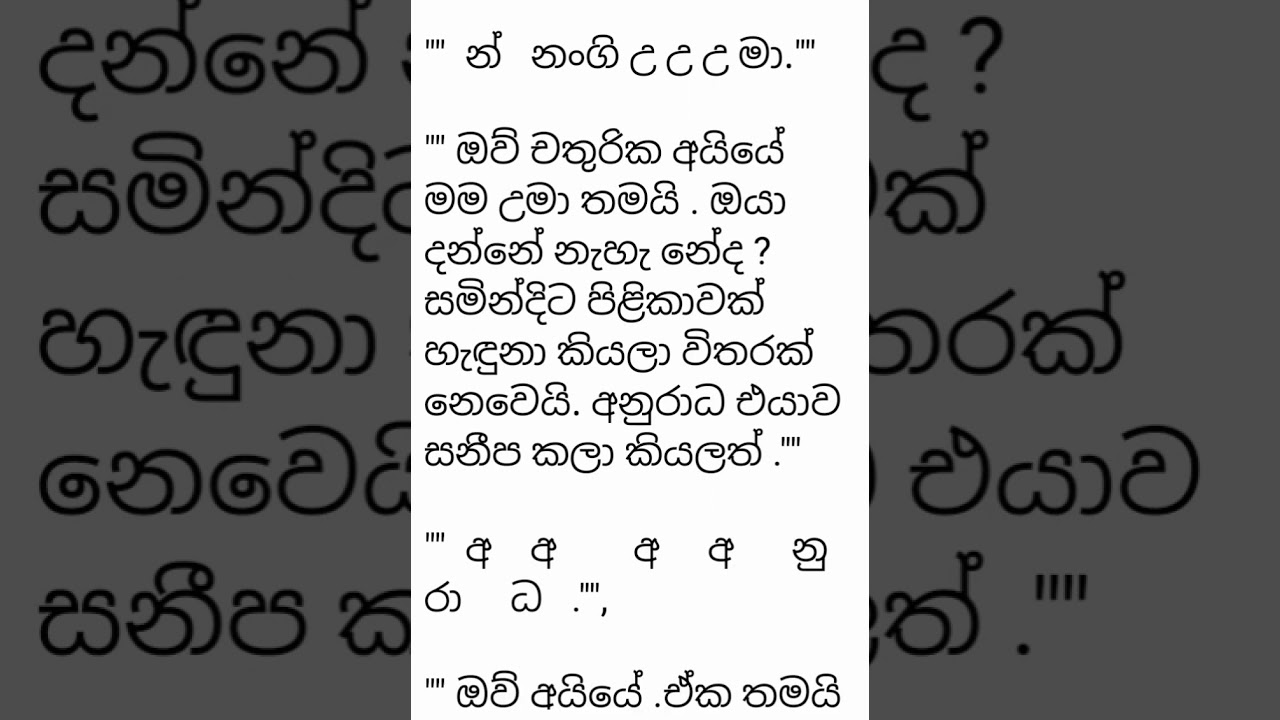 29 December 2025
