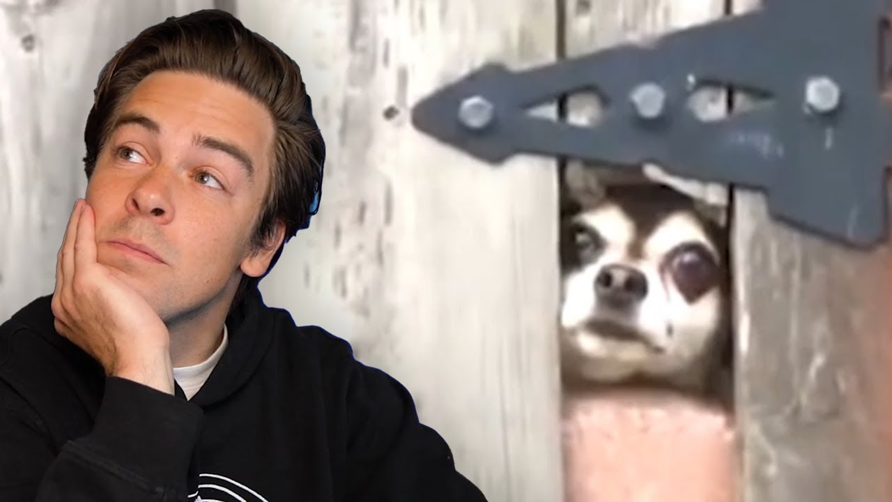 Try Not To Laugh Challenge