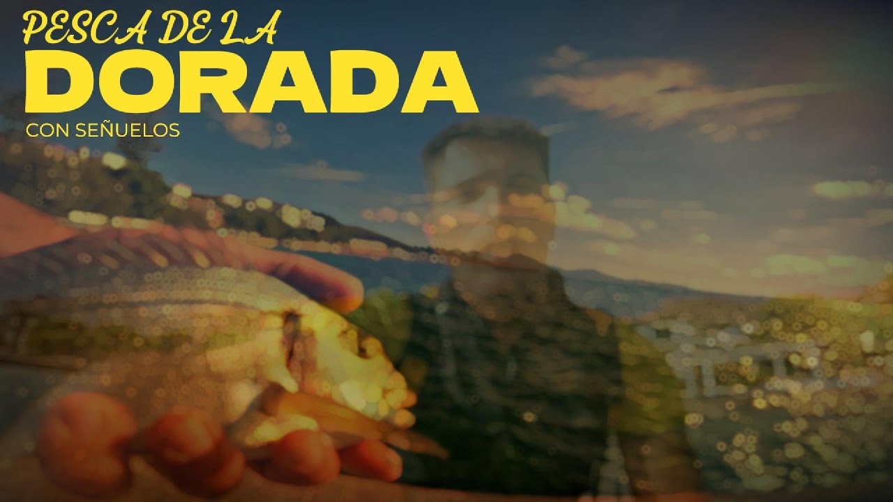 ¡DORADAS con SEÑUELOS!
