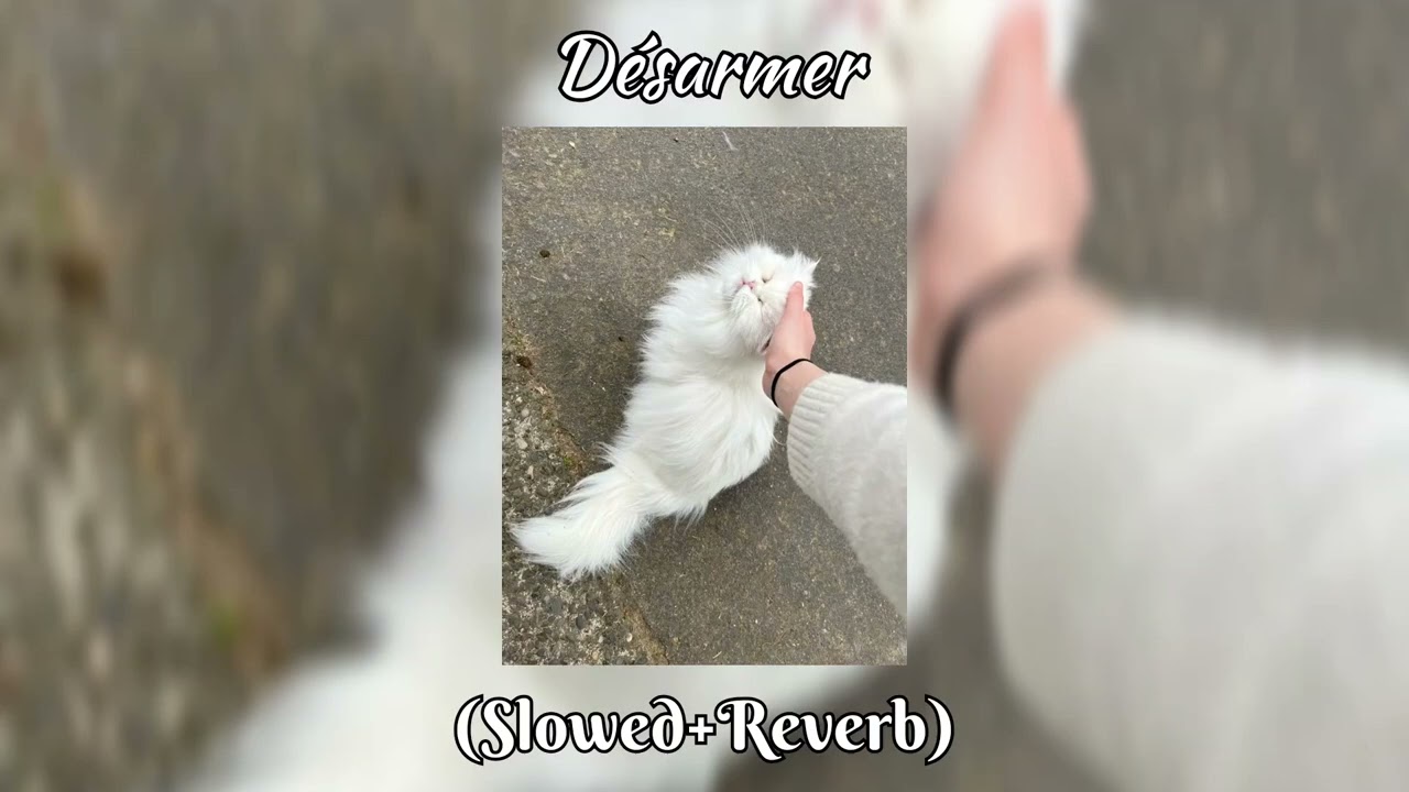 Désarmer - Aya Nakamura (Slowed + Reverb)