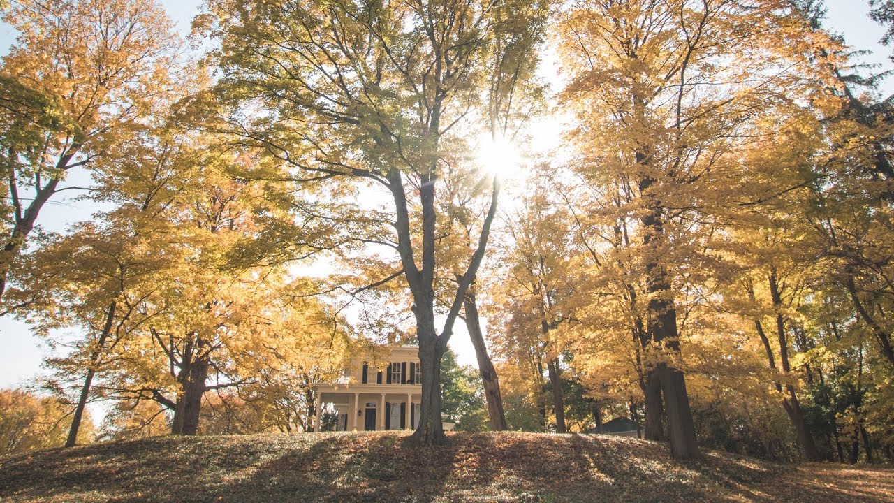 History of the Van Raalte House