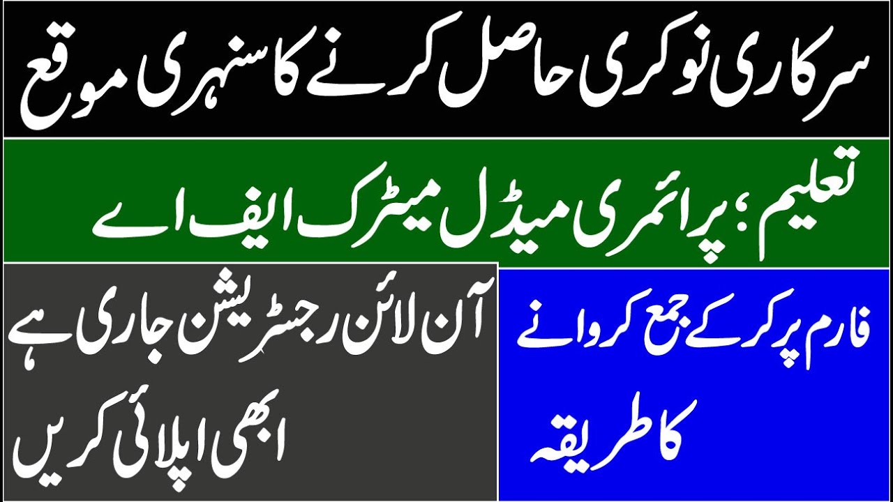 Survey of Pakistan Jobs 2020 | Government Jobs 2020 For Male And Female