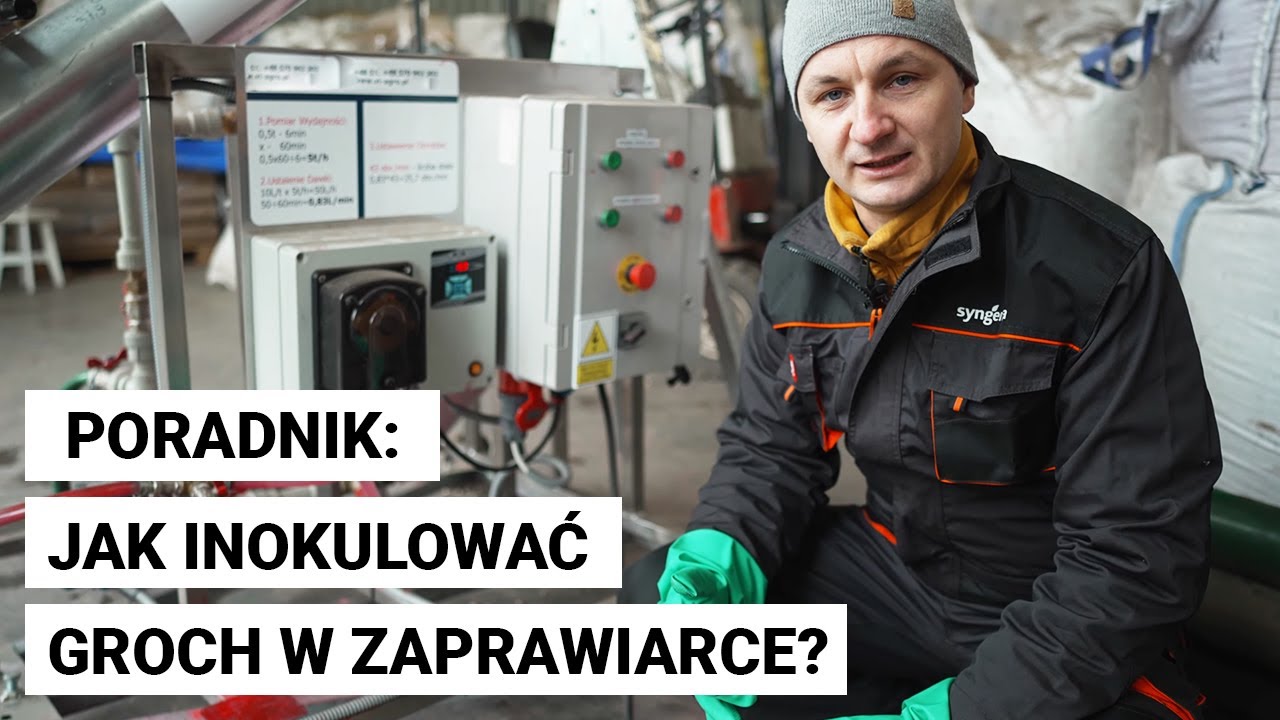 Jak inokulować groch w zaprawiarce?