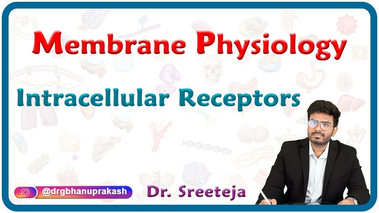 Receptors Physiology: Intracellular receptors : USMLE Step 1