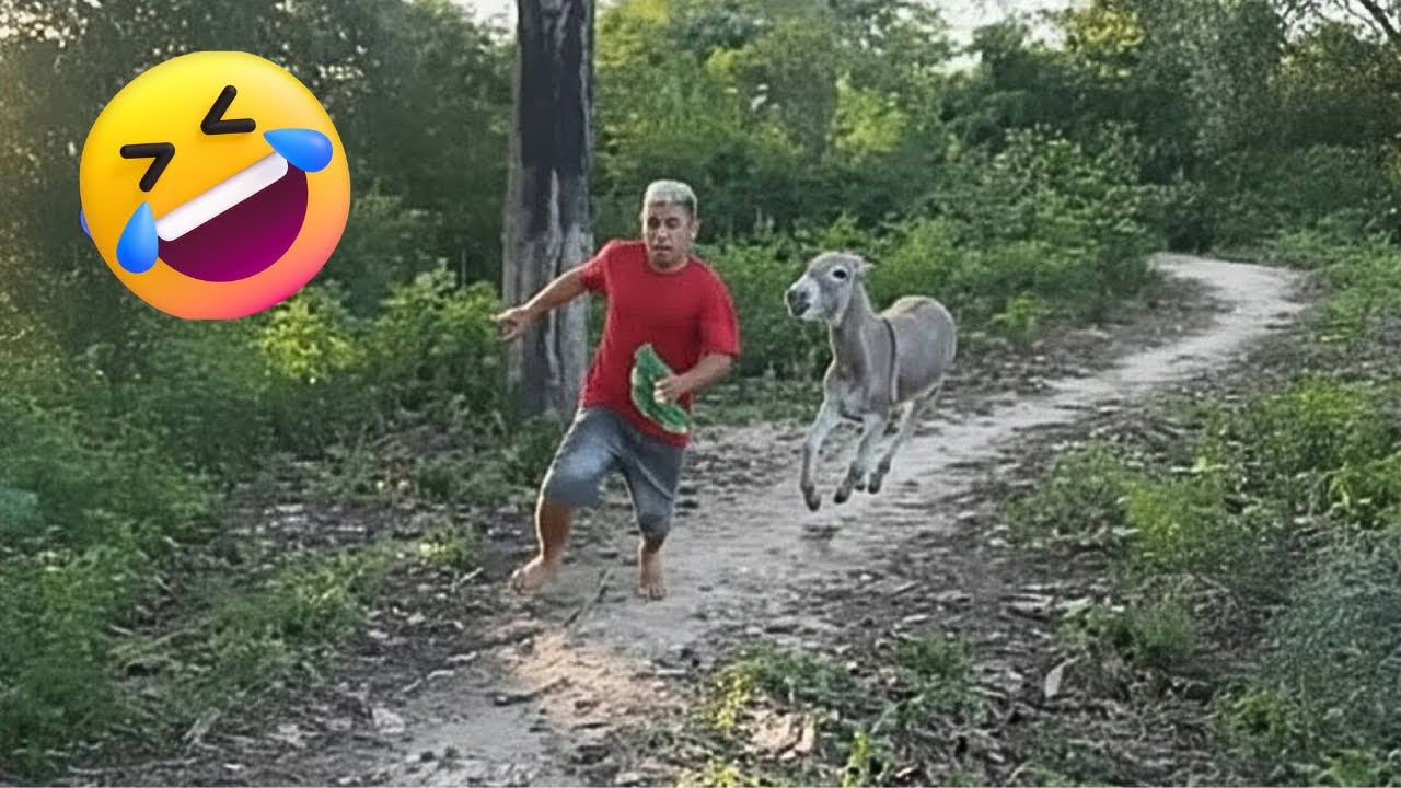 Try Not To Laugh 🤣 Top 100 Funniest Videos Ever 🎬🔥 Memes, Epic Fails & Pranks Compilation Part 25