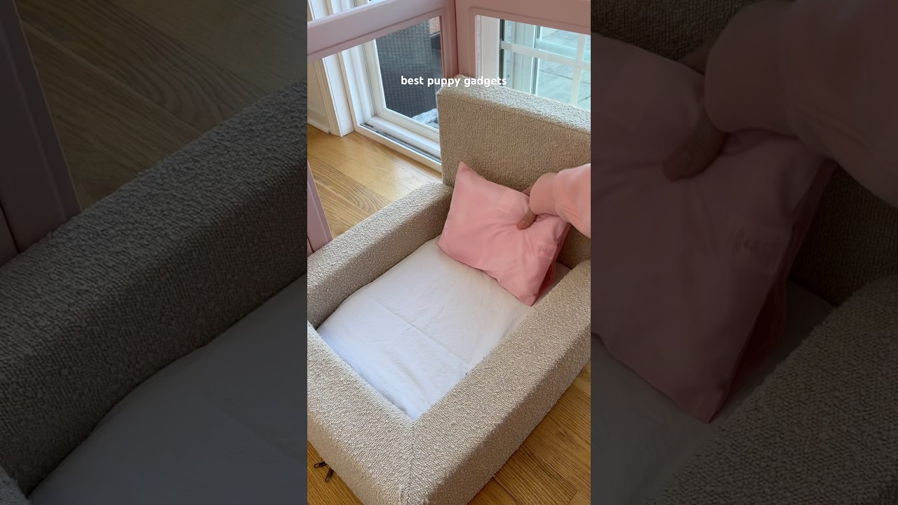 best puppy gadgets #puppy #dog #poodle #viralvideo #shorts #asmrsounds
