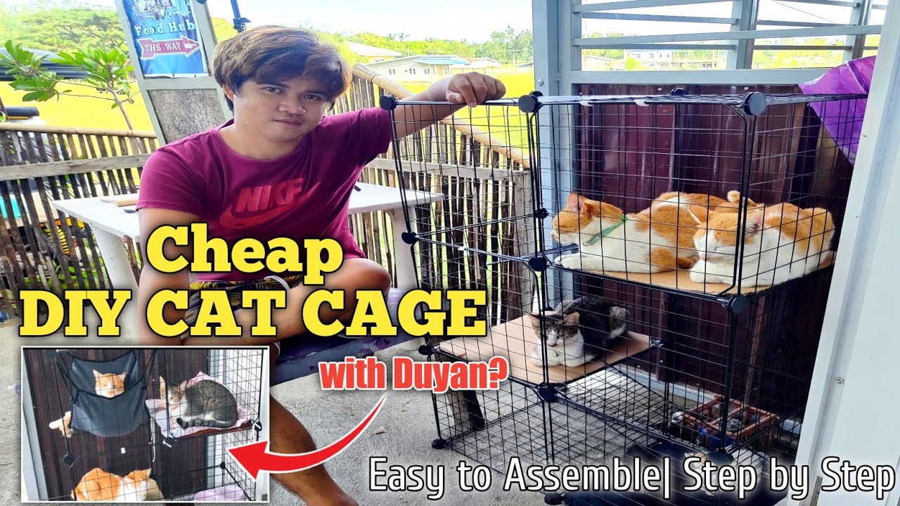 DIY Cat Cage With Duyan  - 3 Layered Cat Cage DIY