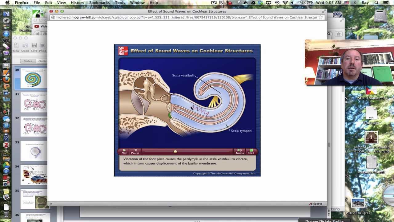 Sense of Hearing