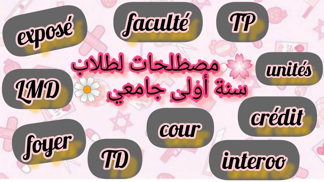 مصطلحات جامعية🌼 يصادفها الطلاب سنة أولى جامعي الأيام الأولين من دراسة 🌸 متراطوش لفديو رائع 💓