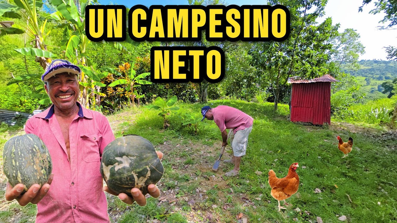 El Viejo HECTOR Ama SEMBRAR En Su CONUCO CAMPO El Narajal,El Portero Del Campo Rd
