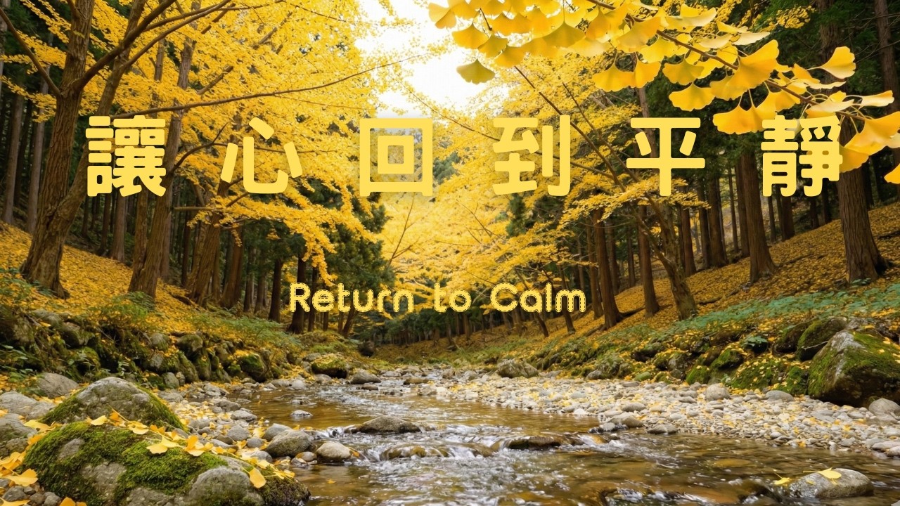 🌲森林溪水旁的鋼琴旋律 放鬆心靈節奏的 1 小時🌲Piano Melodies by the Forest Stream 1 Hour of Relaxing Rhythm #PianoMusic
