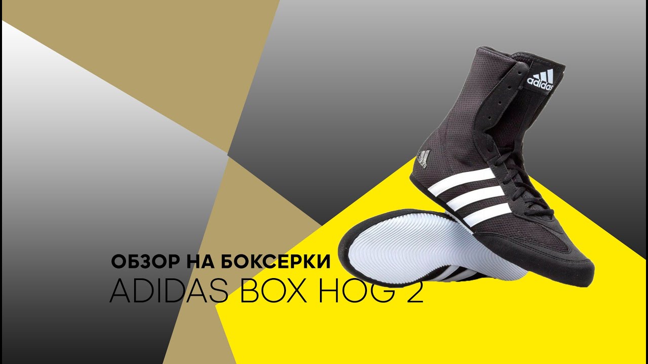 Обзор на классику! Боксерки adidas BOX HOG 2