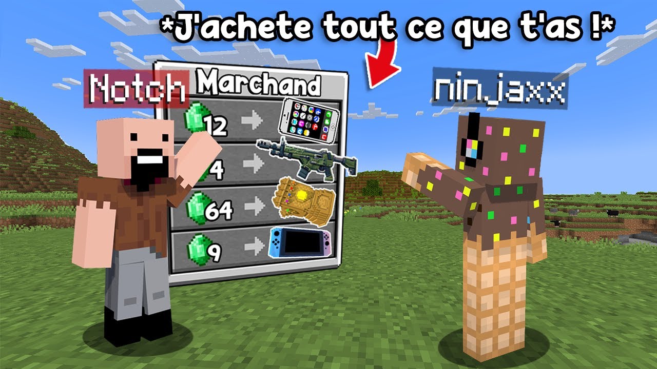 Je dois finir Minecraft en Achetant des Objets ILLEGAUX..
