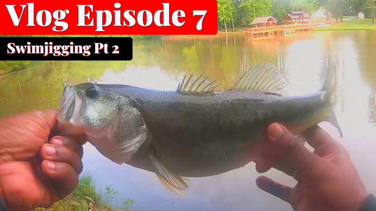 1200 Fishing: Vlog Episode 7 (Swimjigging Pt 2)
