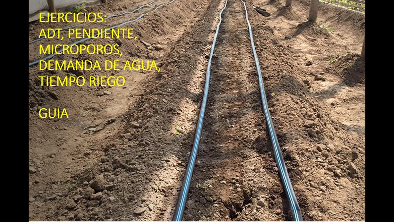 EJERCICIOS DE FUNDAMENTOS DE RIEGO