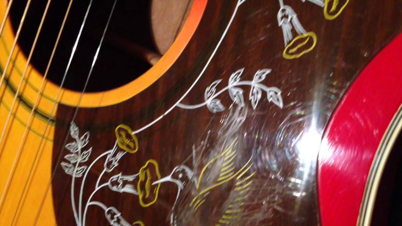 Hondo Hummingbird repair:  From Trash to Treasure