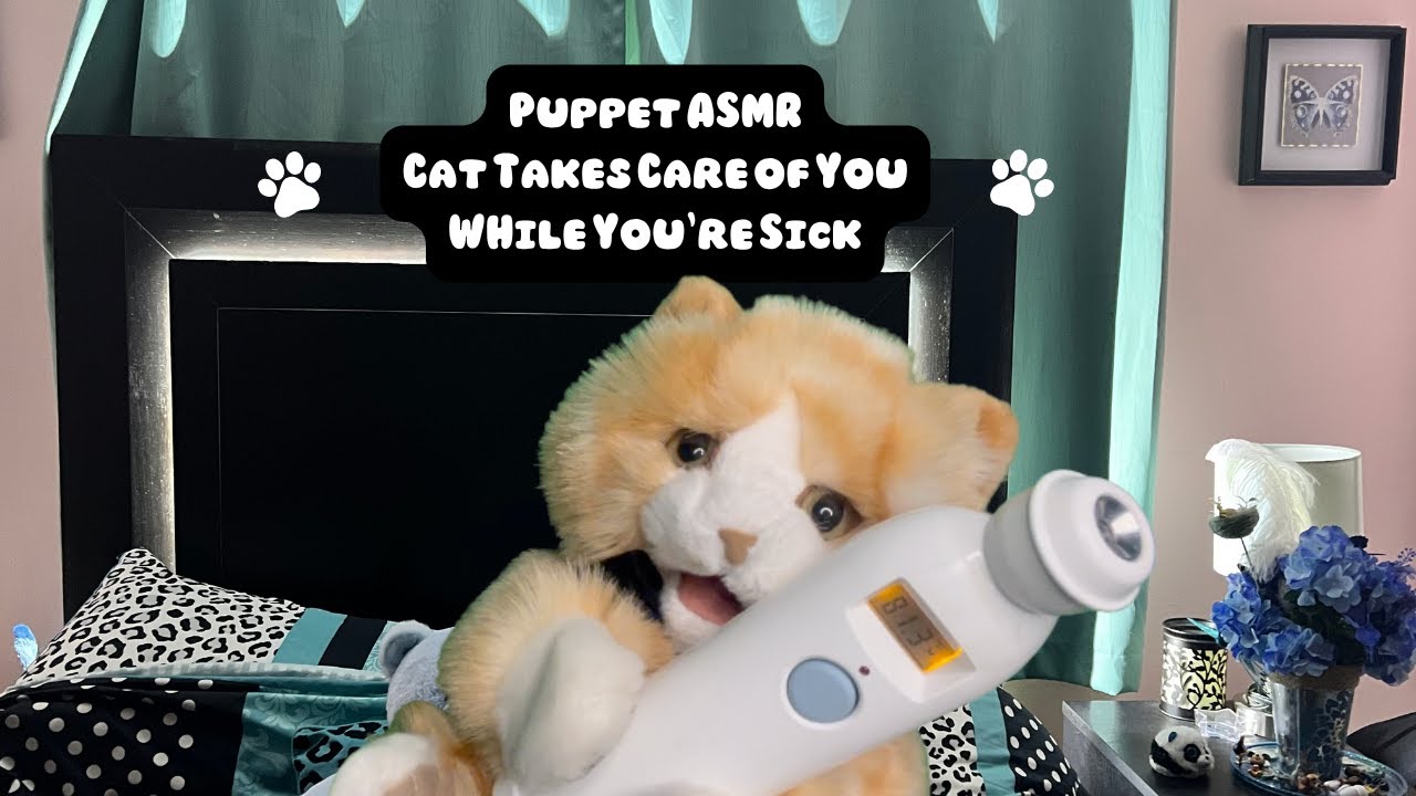 Puppet ASMR Roleplay Fuzzy Cat Friend Cares For You While You're Sick