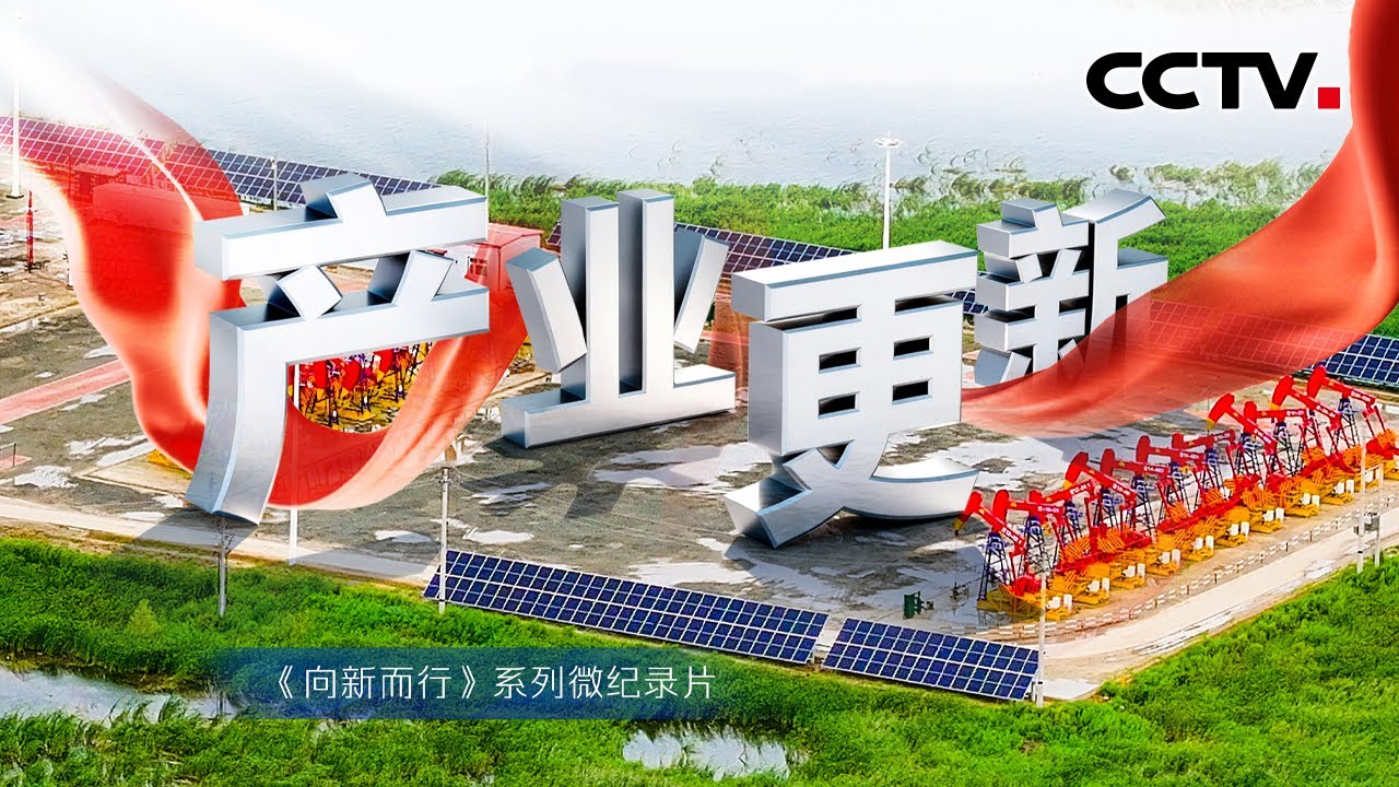 珍稀鸟类的生态家园昔日竟是传统油田？中国第一桶“零碳原油”在这里产出！《向新而行》第1集 产业更新 | CCTV