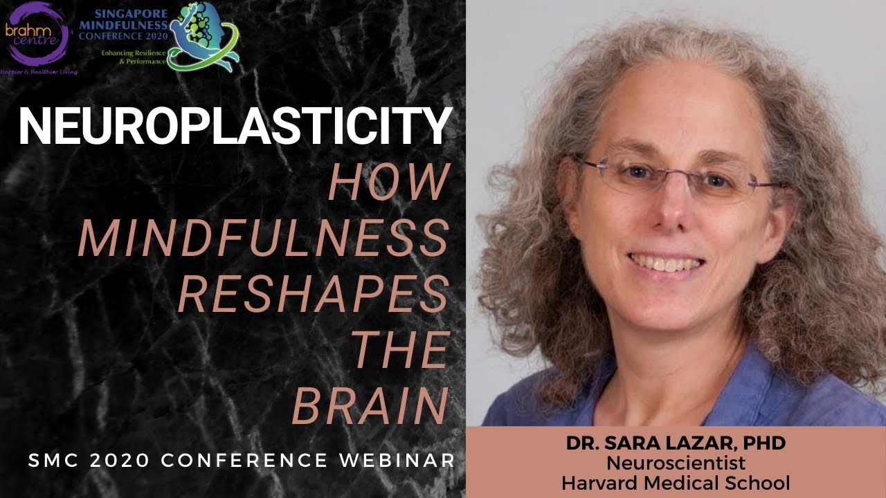 Neuroplasticity - How Mindfulness Reshapes The Brain | Dr Sara Lazar