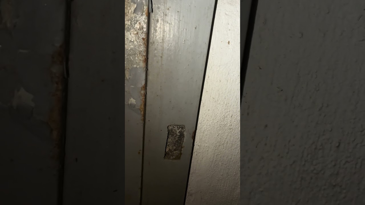 Demons in haunted prison 