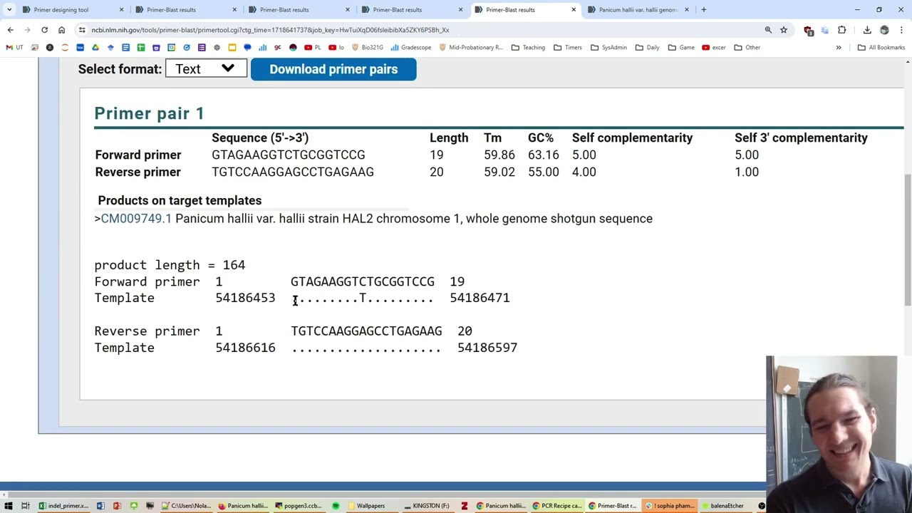 Checking primer pairs across different assemblies via NCBI Primer BLAST