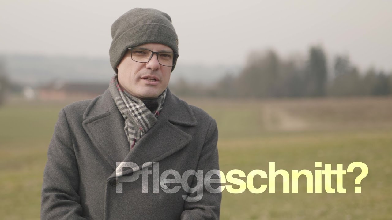Reinigungsschnitt im Anlagejahr &ndash; das ist zu beachten!