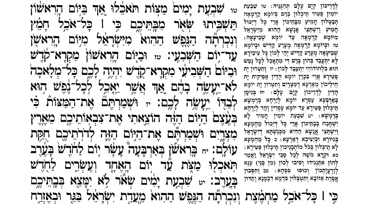 Gemarah Pesachim 5a: Tashbisu &mdash; Passive or Active?