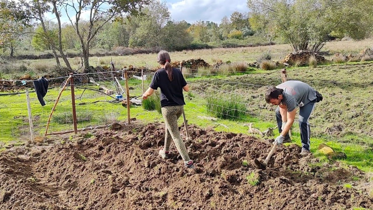 Montando la huerta de invierno, me ayuda Richard