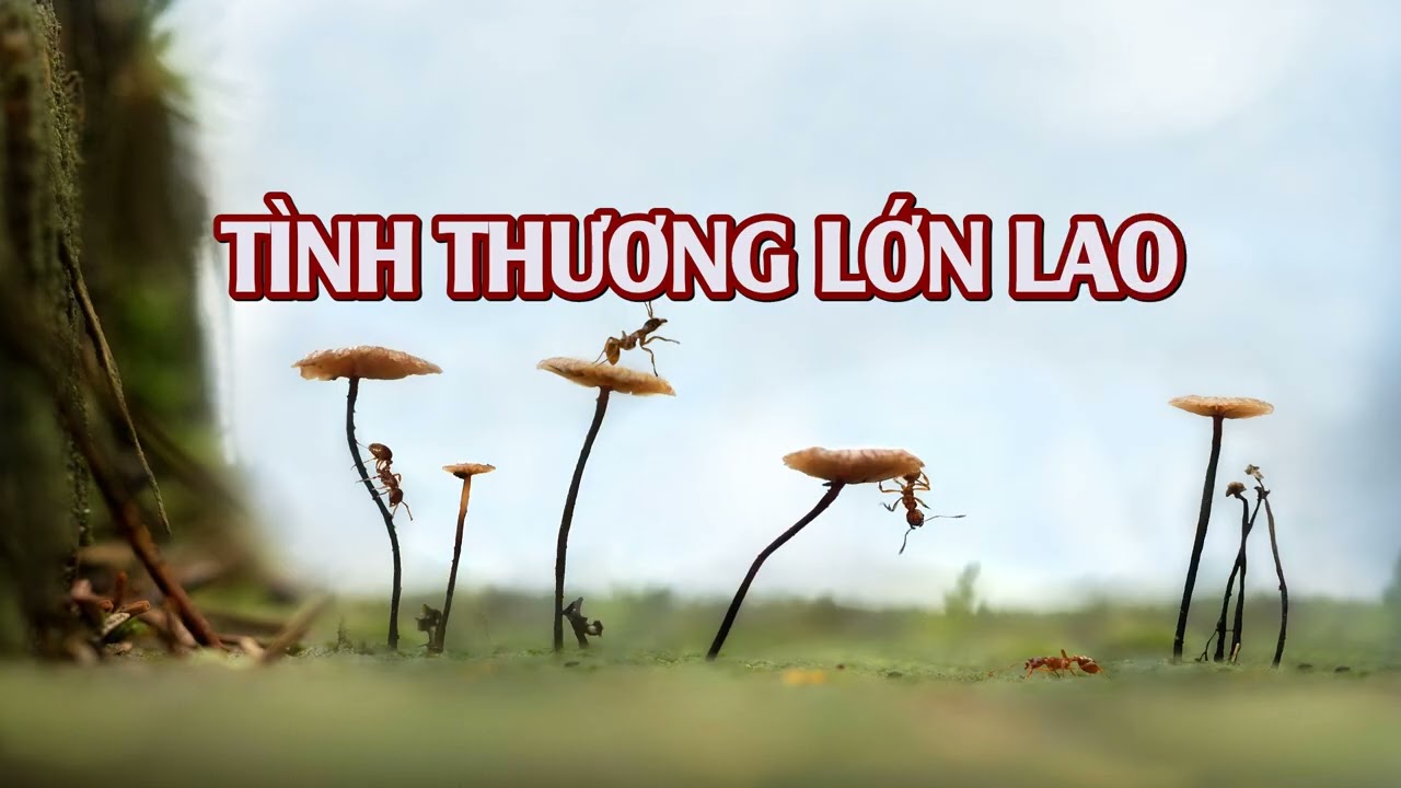 TÌNH THƯƠNG LỚN LAO  (Karaoke) - Thánh ca 079