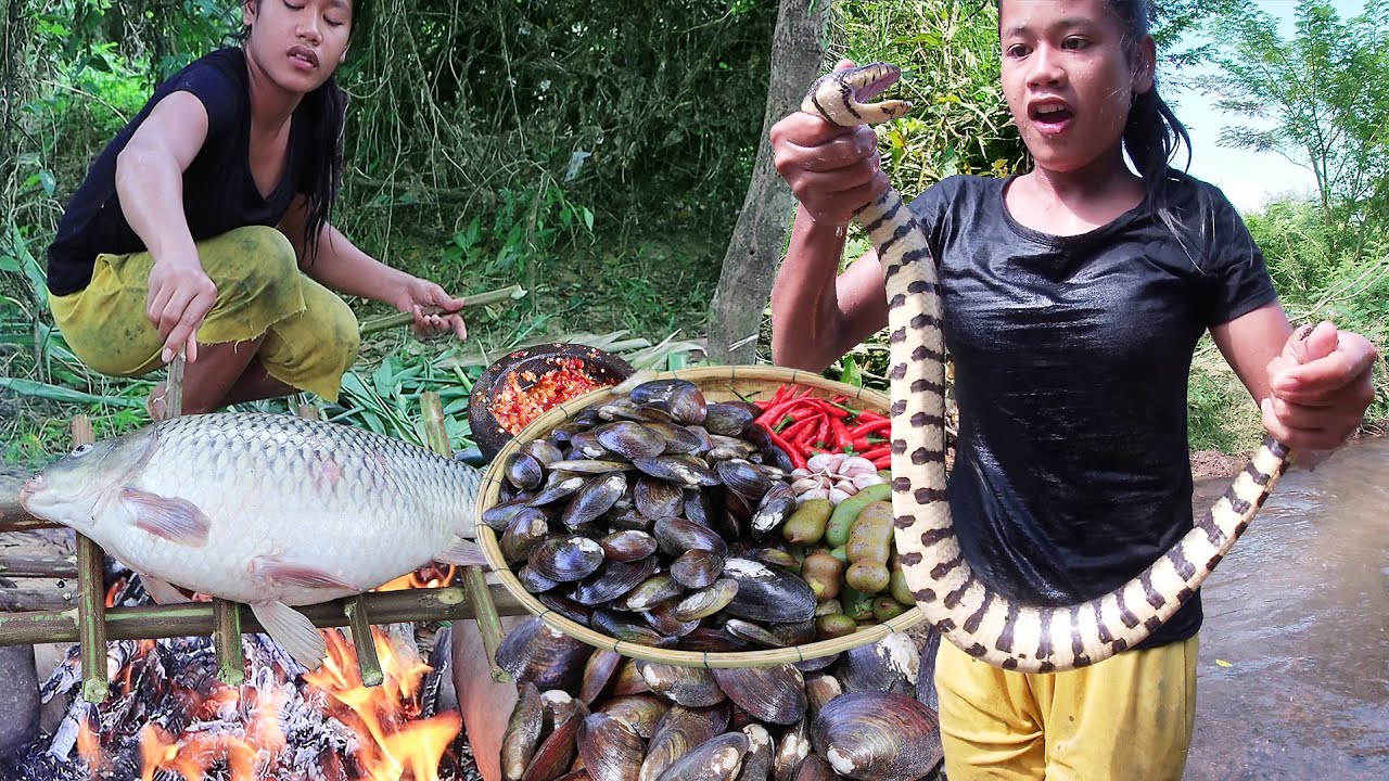 Survival in forest : Big fish roasted, Big snake soup tasty, River shell cooking - Solo cooking