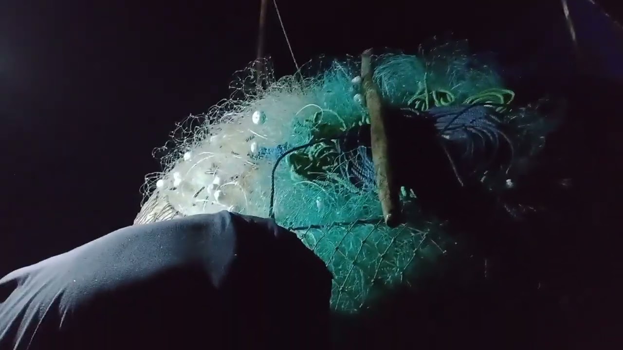 Pescaria de pei