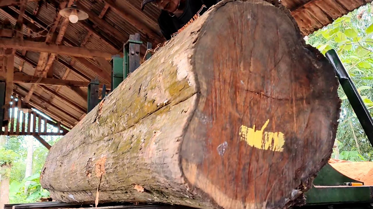 Amazing discovery of ancestral heritage, what a marvel! | Sawmill