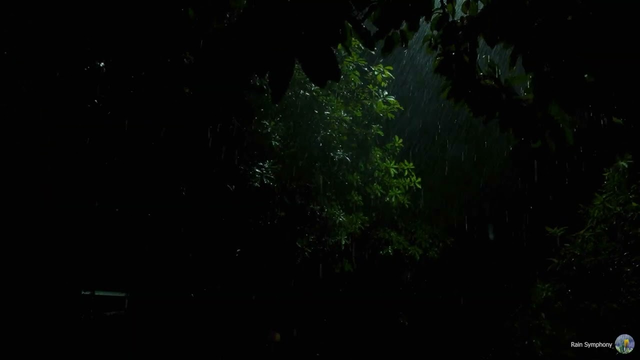 Peaceful Night Rain Sounds for Sleep – Relaxing Rain Ambience All Night, No Interruptions