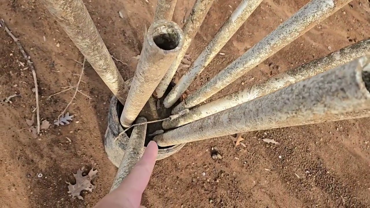 What did I find?