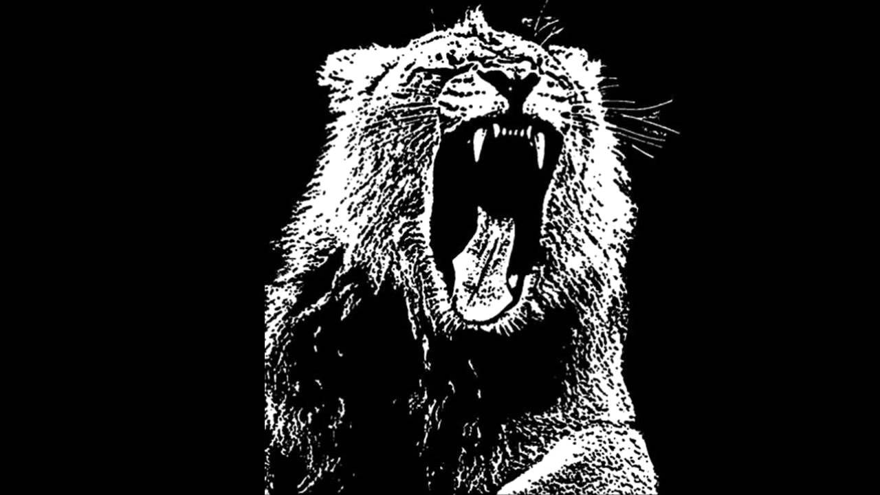 Martin Garrix Animals Instrumental