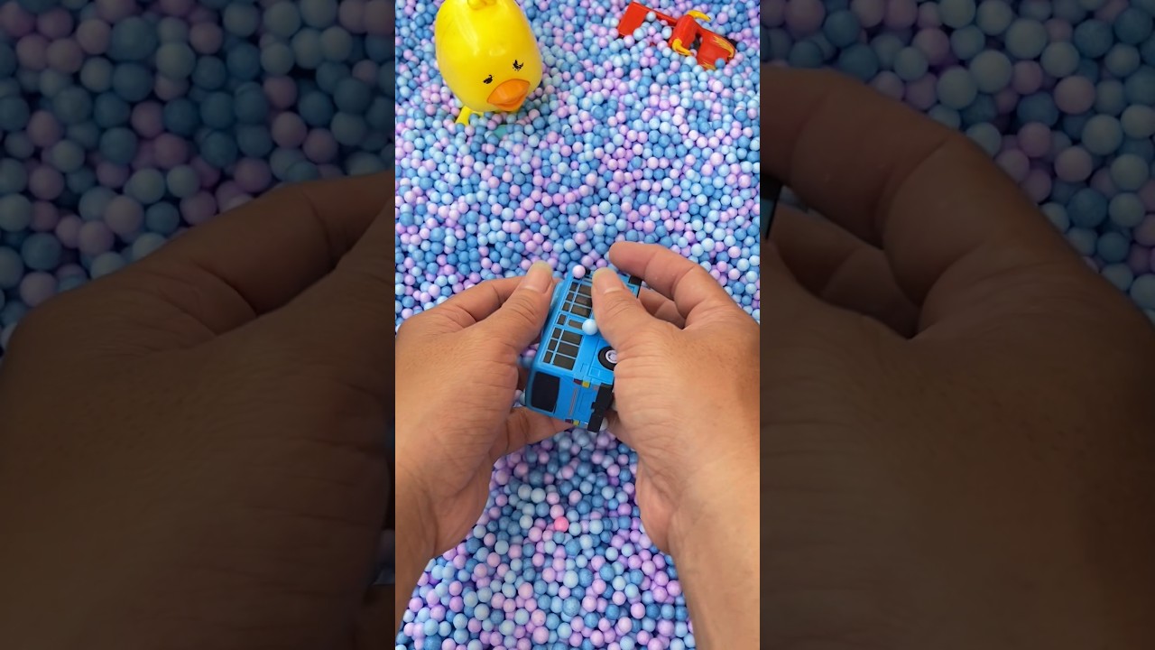 Hidden Tayo Bus Toy Found! 🚍 | Toy Hunt 