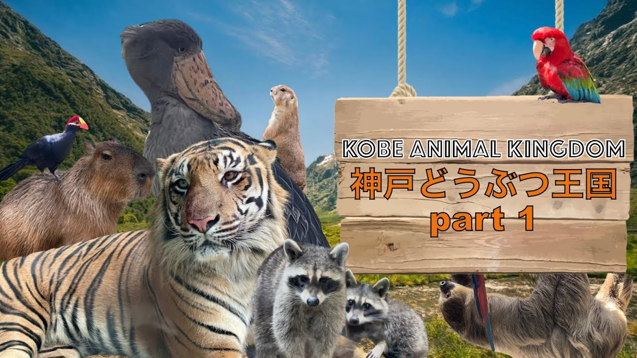 【4K】神戸観光!  神戸どうぶつ王国 前編   Walking tour at Kobe Animal Kingdom Part 1  Hyogo, Japan iPhone12pro