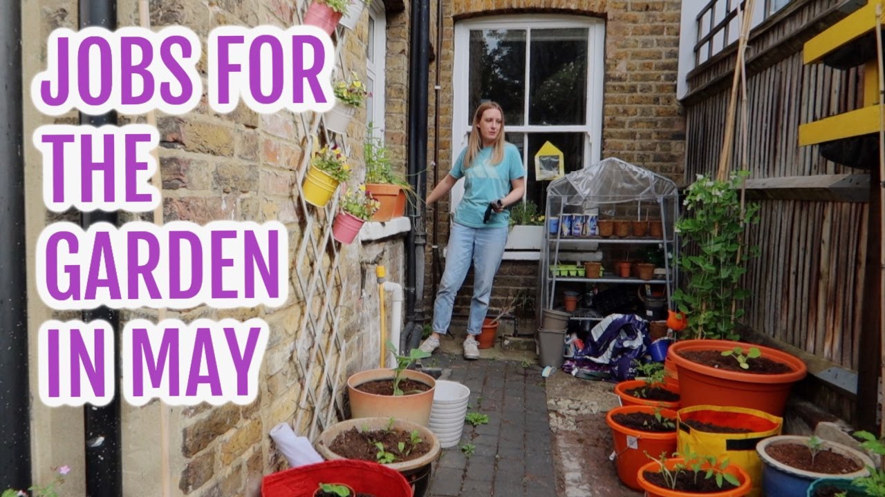 JOBS FOR SMALL GARDEN (UPDATED VERSION) / MAY 2022 / EMMA'S ALLOTMENT DIARIES