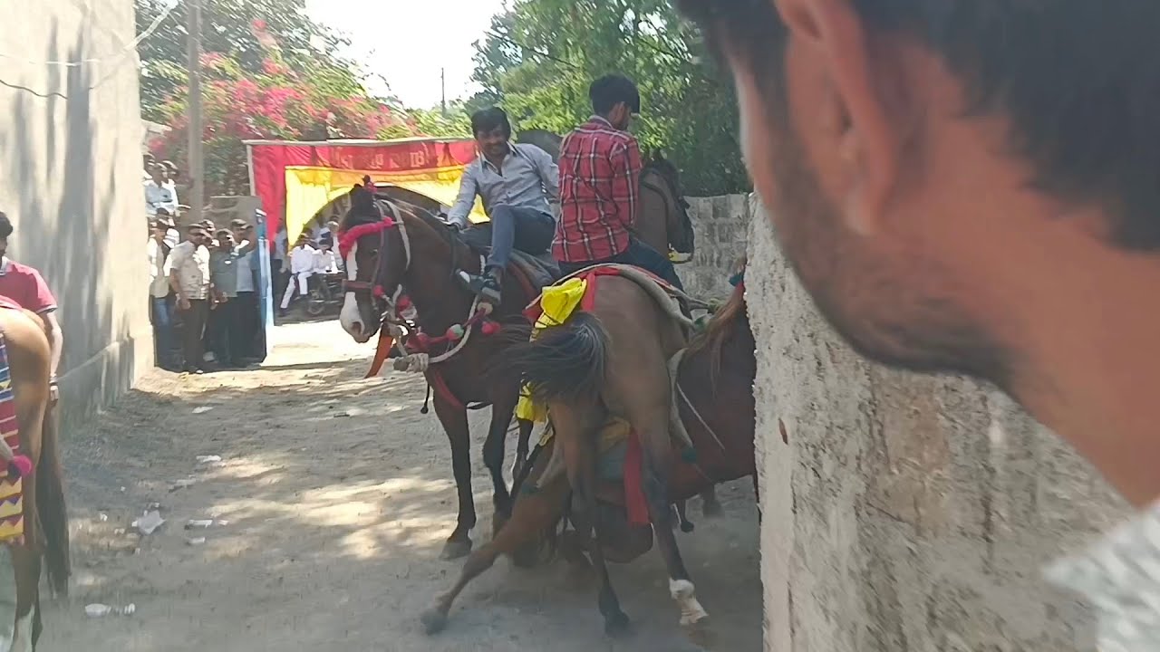 ફુલઝર ગામના તોરણ 🐎