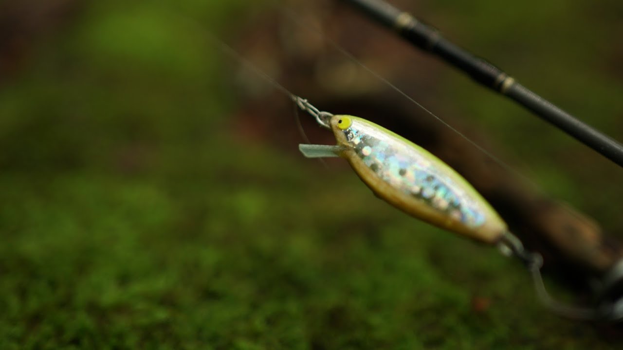 Japanese mountain stream trout fishing 2025