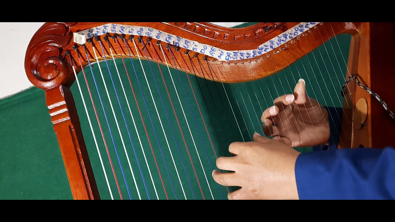 perdóname danny mendoza clases de arpa teoría y práctica