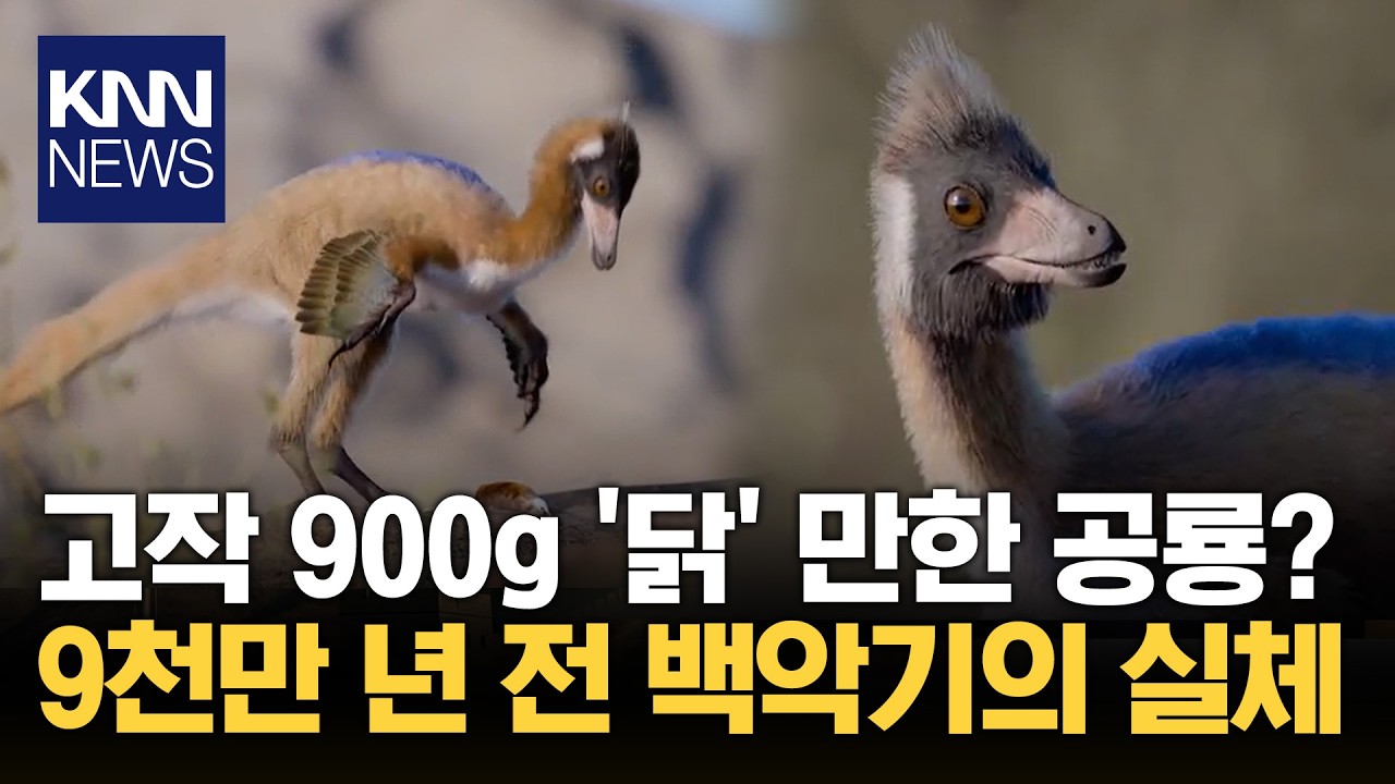 공룡, 원래는 작았다고? '깜짝' 닭만 한 '초소형 공룡' 발견/ KNN