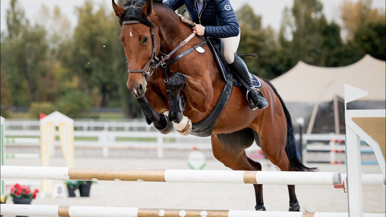 *2017 mare 135 level 