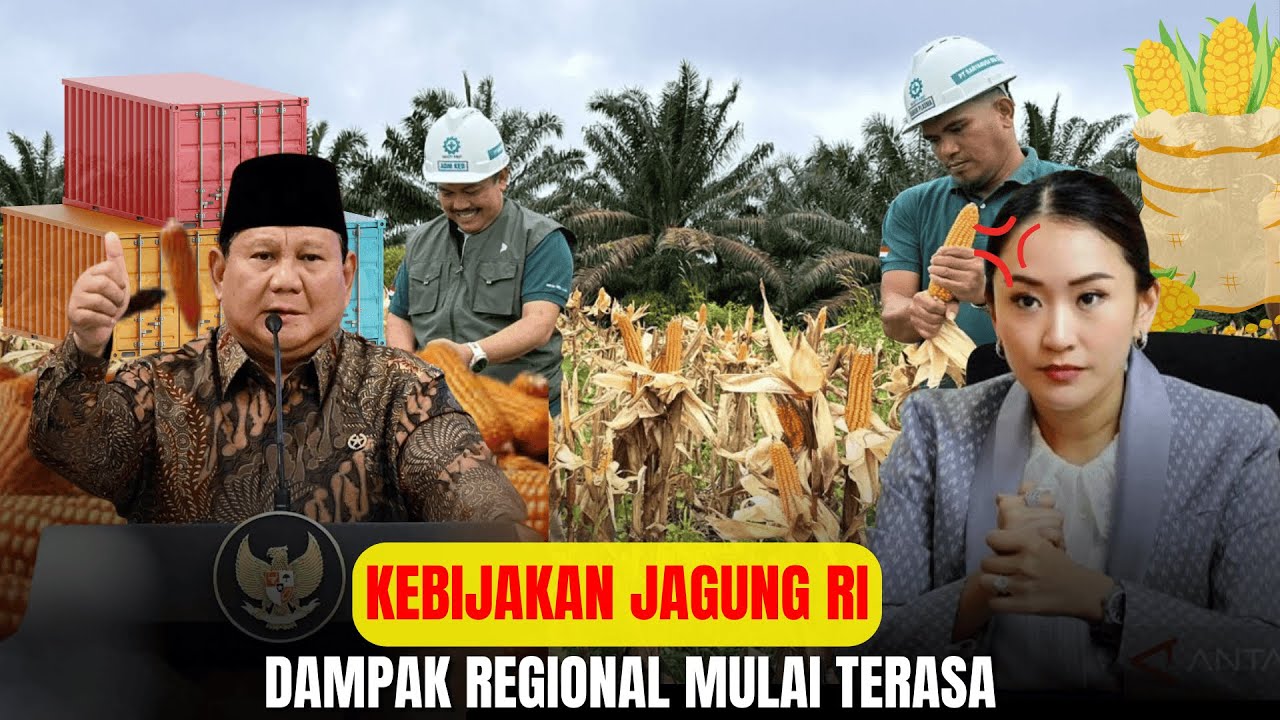 Thailand Panik! Indonesia Resmi Stop Impor Jagung,